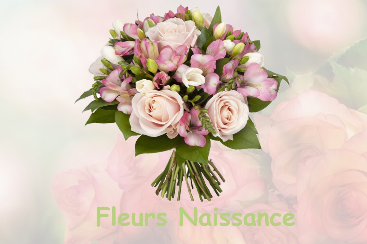 fleurs naissance SAINT-MARCEL-L-ECLAIRE